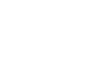 0.2% 한라산 구상나무