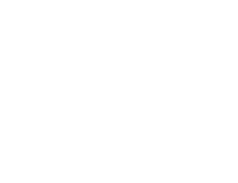 99.8% 한라산 구상나무